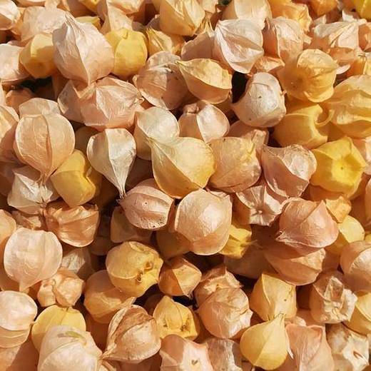 东北菇娘果(19.9元/斤)