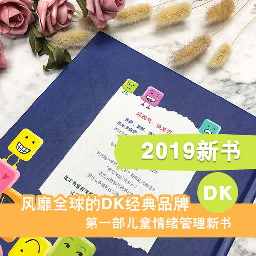 DK幼儿百科启蒙+DK儿童情绪管理+DK幼儿艺术启蒙 （全3册）3-12岁  4大基本情绪主题 32个情绪术语 40个表达情绪的成语 商品图6