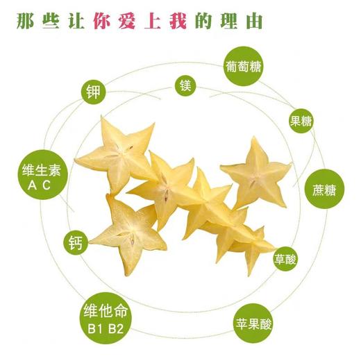 广东 杨桃 1个 约250g 商品图2