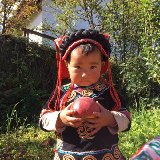 四川大凉山盐源丑苹果，糖分足，脆爽多汁，果味丰富浓郁，甜中带微果酸 商品图10