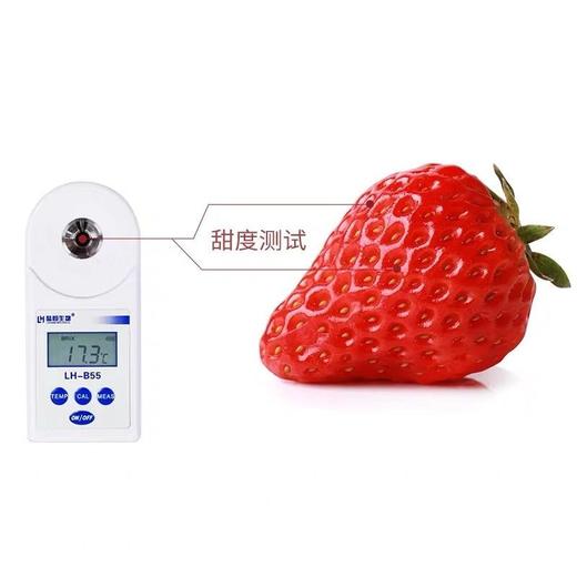 精选丹东99草莓 商品图5