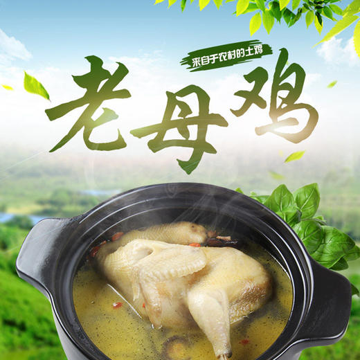 【自提预售】六合老母鸡整只 线上（仅支持六合自提） 商品图0