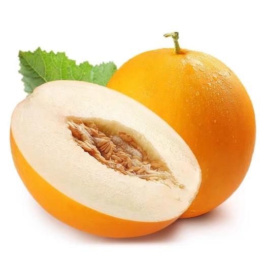 黄金蜜瓜 1个/约2000g 商品图7