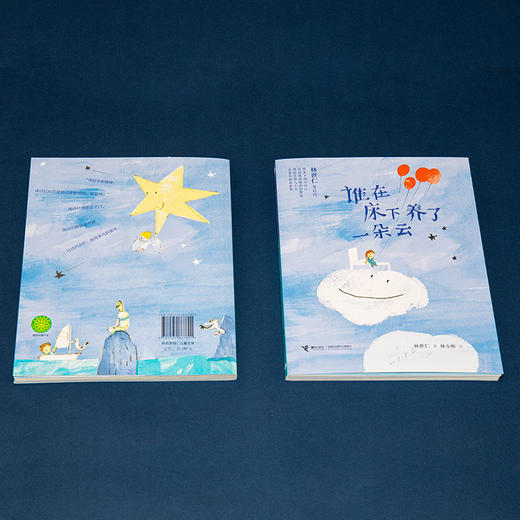 谁在床下养了一朵云∶林世仁童话诗 商品图2