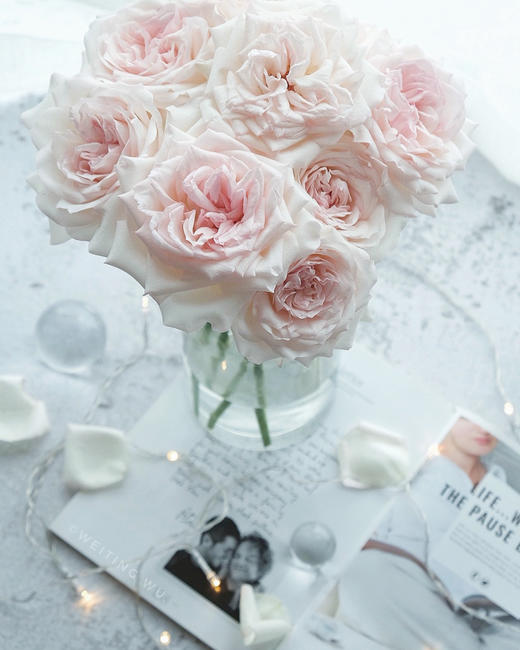 香水女人玫瑰【任世间百媚千红，我自风情万种】简小姐精选 A级稀有温柔浪漫网红玫瑰 香水女人 9+1枝（防花损）2束包邮 48小时发货 商品图1