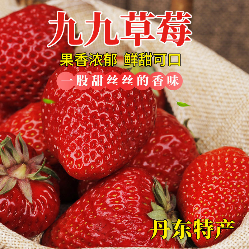 精选丹东99草莓