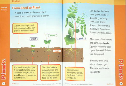 技能铅笔刀 科学练习册 二年级 英文原版 Skill Sharpeners Science Grade 2 美国加州小学教辅 英文版 进口原版英语书籍 商品图2