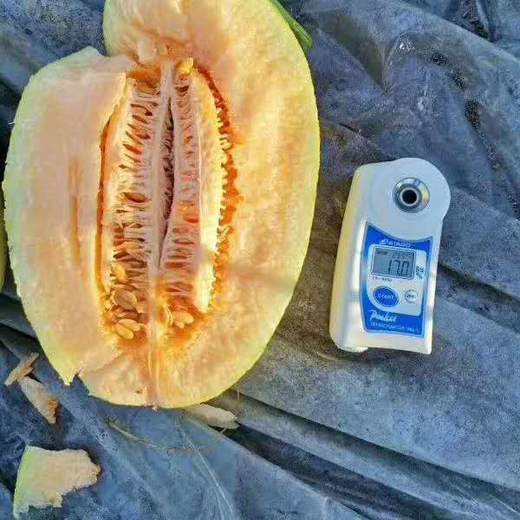 哈密瓜 1个/约1750g 商品图1