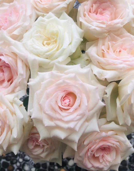 香水女人玫瑰【任世间百媚千红，我自风情万种】简小姐精选 A级稀有温柔浪漫网红玫瑰 香水女人 9+1枝（防花损）2束包邮 48小时发货 商品图5