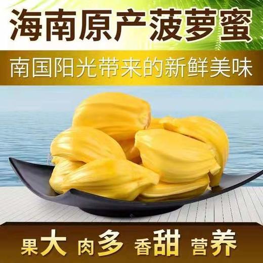 海南 菠萝蜜 1盒/约250g 商品图12