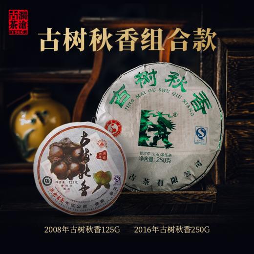 【831开仓专享】澜沧古茶景迈秋茶飘香--699礼包 商品图1