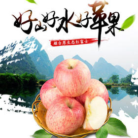 山东 栖霞 富士 苹果5-6个/约1500g