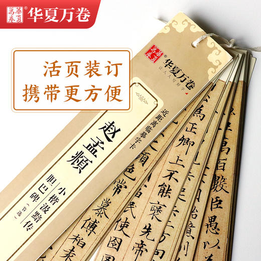 赵孟頫小楷汲黯传 胆巴碑(节选) 商品图3