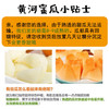 黄金蜜瓜 1个/约2000g 商品缩略图10