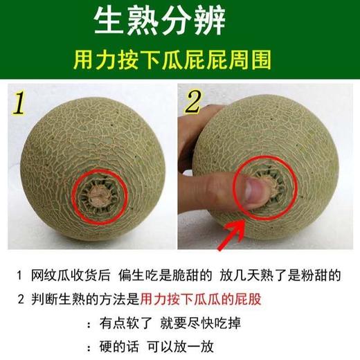 哈密瓜 1个/约1750g 商品图12