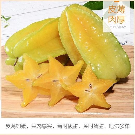 广东 杨桃 1个 约250g 商品图1