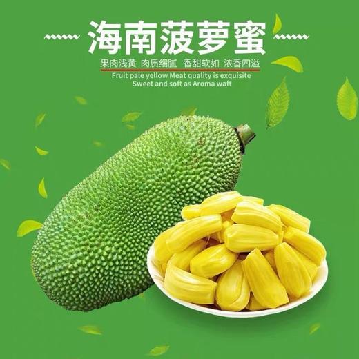 海南 菠萝蜜 1盒/约250g 商品图0