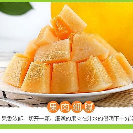 黄金蜜瓜 1个/约2000g 商品图2