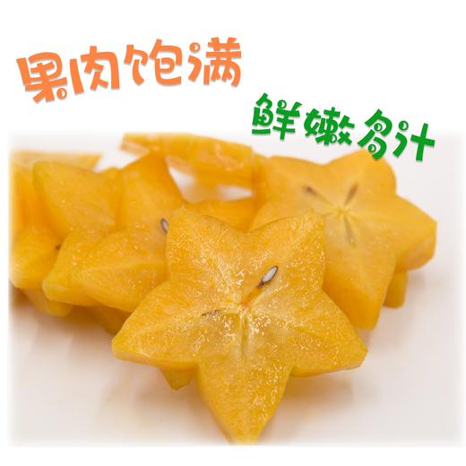 广东 杨桃 1个 约250g 商品图3