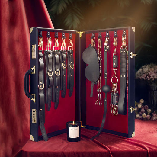 missfun丽娜束缚情趣套装 豪华便携密码箱 私密性强 商品图3