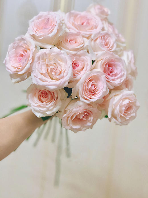 香水女人玫瑰【任世间百媚千红，我自风情万种】简小姐精选 A级稀有温柔浪漫网红玫瑰 香水女人 9+1枝（防花损）2束包邮 48小时发货 商品图0