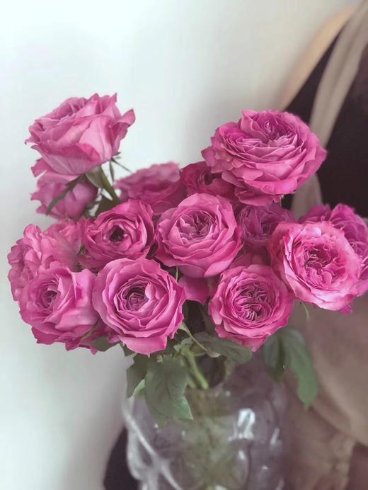 长相思玫瑰【我说相思不外露，惊觉念你已入骨】简小姐精选 A级新品国产浪漫卷边奥斯汀玫瑰 长相思 9+1枝防花损 2束包邮 48小时发货 商品图1