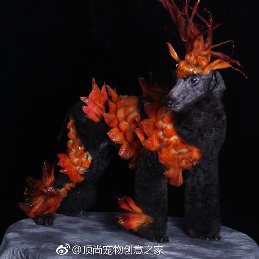 褪浅膏套装 - OPAWZ（小爪印） 商品图6