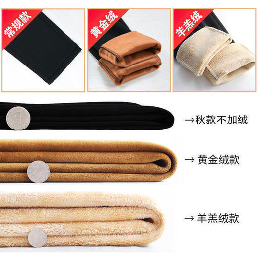 TZMZ-秋冬新款加绒加厚大码裤子女宽松显瘦高腰松紧洋气休闲哈伦打底裤 商品图2