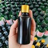 【野生青刺果油】 物理冷压榨/高级天然植物食用油|被誉可以吃的化妆品| 今年新榨包邮 商品缩略图3