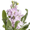 配花 | 紫罗兰粉色(季节原因,把头较小.介意慎拍) 商品缩略图2