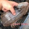 【野生幼鳞大龙利鱼】野生海捕，肉厚刺少，营养护眼，鱼鳞细小，肉质更细腻，帮杀好 商品缩略图5