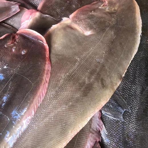 【野生幼鳞大龙利鱼】野生海捕，肉厚刺少，营养护眼，鱼鳞细小，肉质更细腻，帮杀好 商品图3