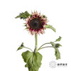 向日葵 | 油画 商品缩略图3
