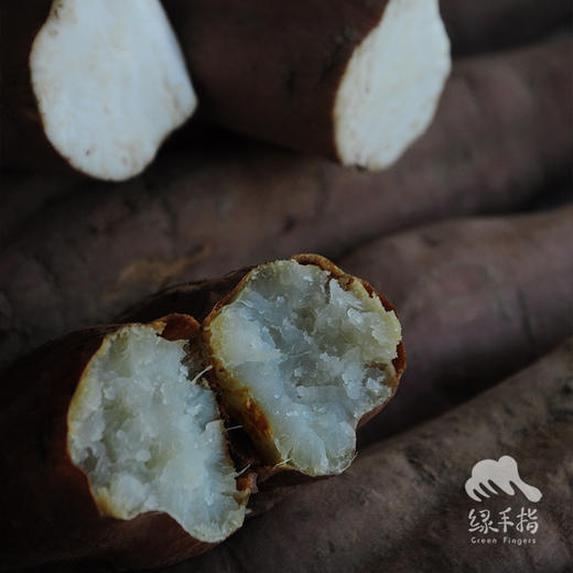 生态红薯（冰糖心，河南，圆通） | 合作生产*Eco-sweet potato | Coproduction 商品图2
