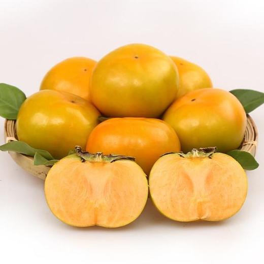 广西脆柿(3斤/5斤自选) - 四季金果园