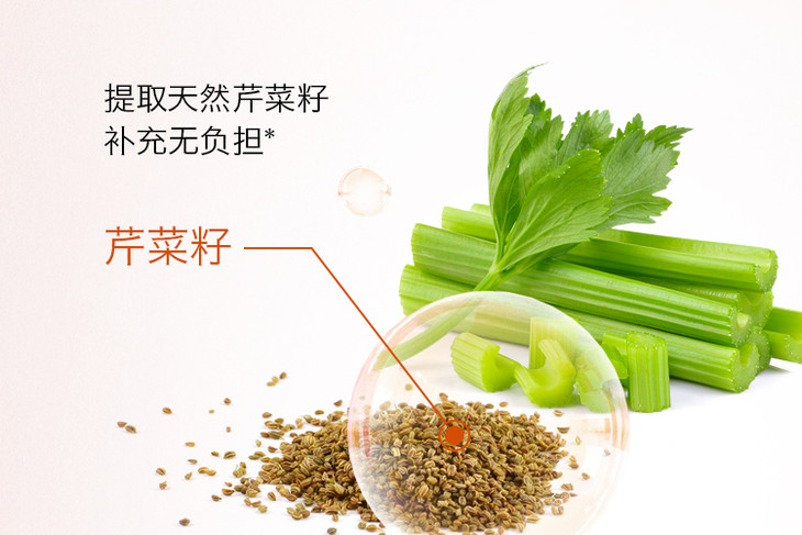 澳洲blackmore西芹籽50粒