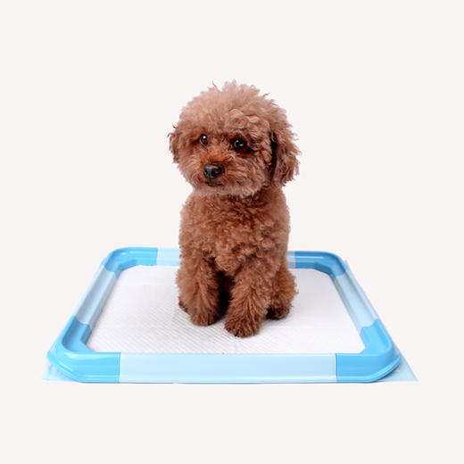 美卡组装犬厕便捷狗厕所便盆尿盆泰迪小型犬室内外可用宠物用品 商品图2