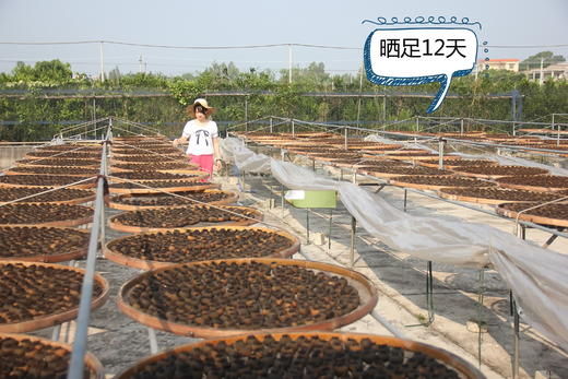 2023年新会小青柑普茶勐海熟普小青柑普茶越陈越香 商品图2