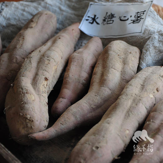 生态红薯（冰糖心，河南，圆通） | 合作生产*Eco-sweet potato | Coproduction 商品图4