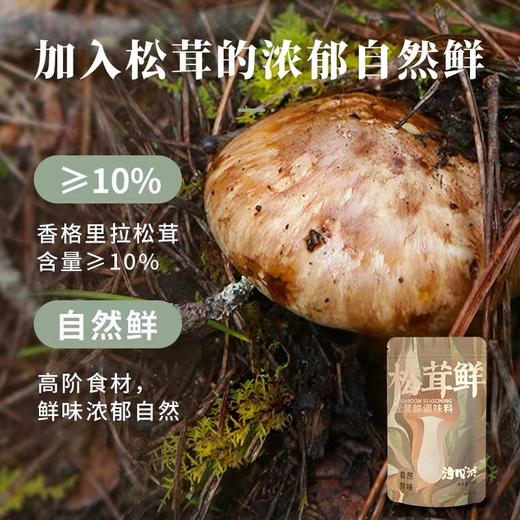 松茸鲜调味料 大自然的味道 100克赠40克（80克特价） 商品图4