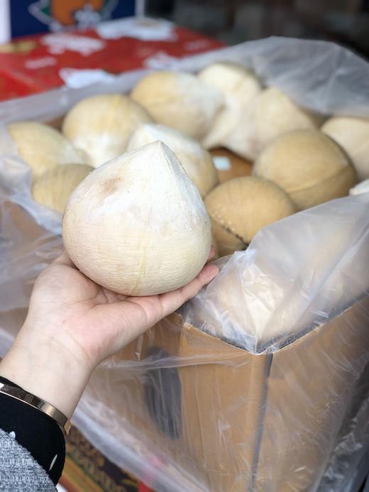 周二取货：【泰国椰皇】来自大自然的椰子水！喝完还可以吃肉肉哦！ 商品图12