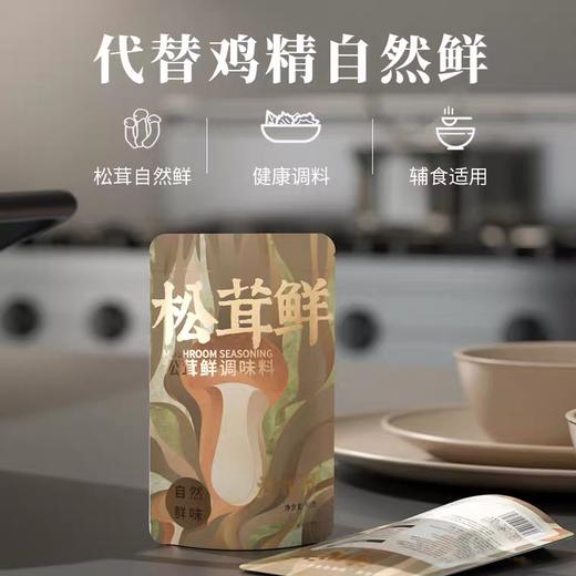 松茸鲜调味料 大自然的味道 100克赠40克（80克特价） 商品图2