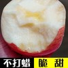 延安洛川甜心 富士苹果5-6个/约1750g/含包装 商品缩略图4