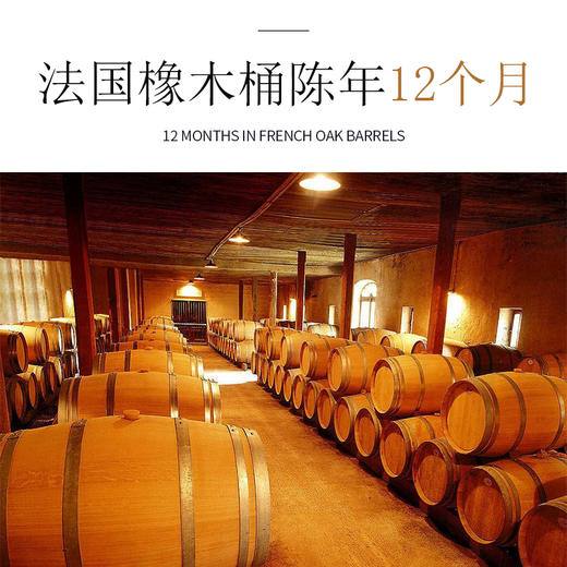 【大师封笔之作】阿根廷 大师酒 原瓶进口红酒 14.5度干红 商品图2