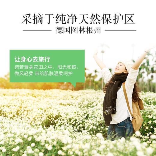 现货~德国小甘菊雏菊润唇膏保湿滋润补水嘴唇防干裂无色孕妇唇膜 商品图2