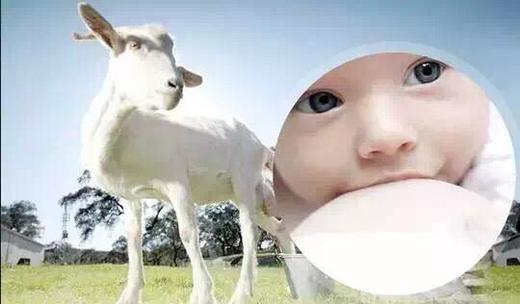 丨生态丨山羊奶皂 敏感肌肤适宜 徐小鱼 商品图4