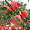 延安洛川甜心 富士苹果5-6个/约1750g/含包装 商品缩略图2