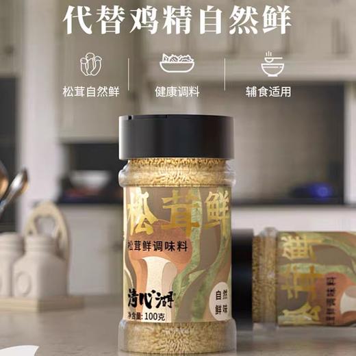 松茸鲜调味料 大自然的味道 100克赠40克（80克特价） 商品图5