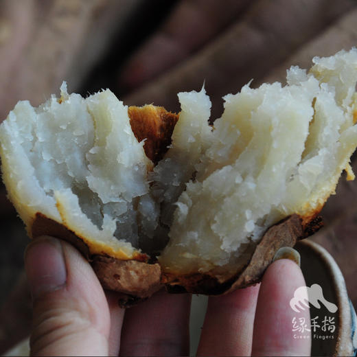 生态红薯（冰糖心，河南，圆通） | 合作生产*Eco-sweet potato | Coproduction 商品图1