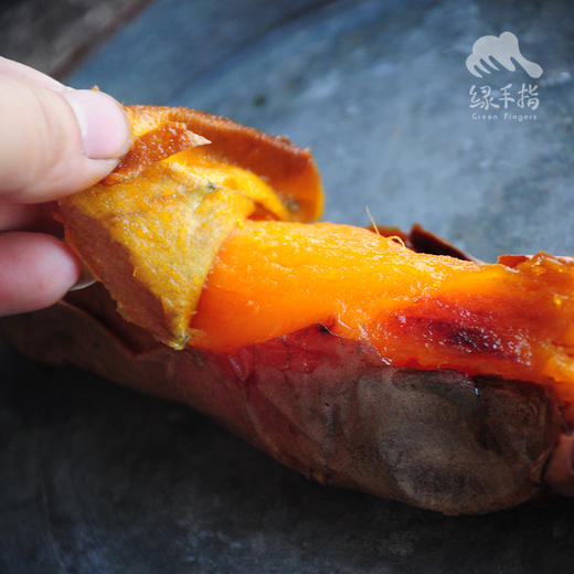 生态红薯（冰糖心，河南，圆通） | 合作生产*Eco-sweet potato | Coproduction 商品图6